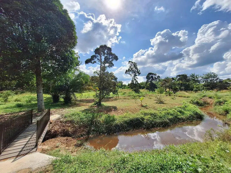 Anak sungai dan kawasan kebun yang menghijau